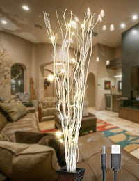 36IN Lighted Natural Twigs, White