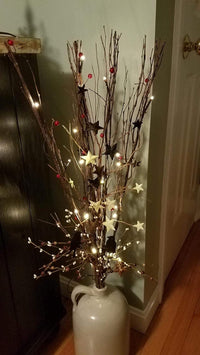Lighted Natural Willow Twig Branch for Home Decoration, USB Plug-in and Battery Powered