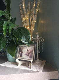 Lighted Natural Willow Twig Branch for Home Decoration, USB Plug-in and Battery Powered