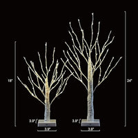 18IN & 24IN LED Birch Tree Lamp, Pack of 2