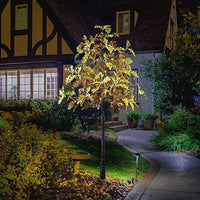 Lighted Oak Tree - Various Heights Available