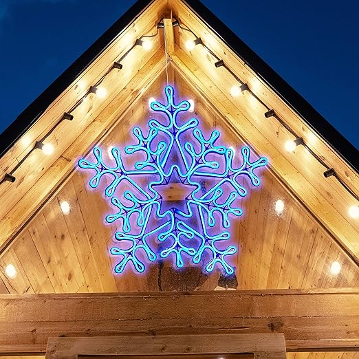 20IN Snowflake Neon Rope Light, Blue – Ehomeinc.com