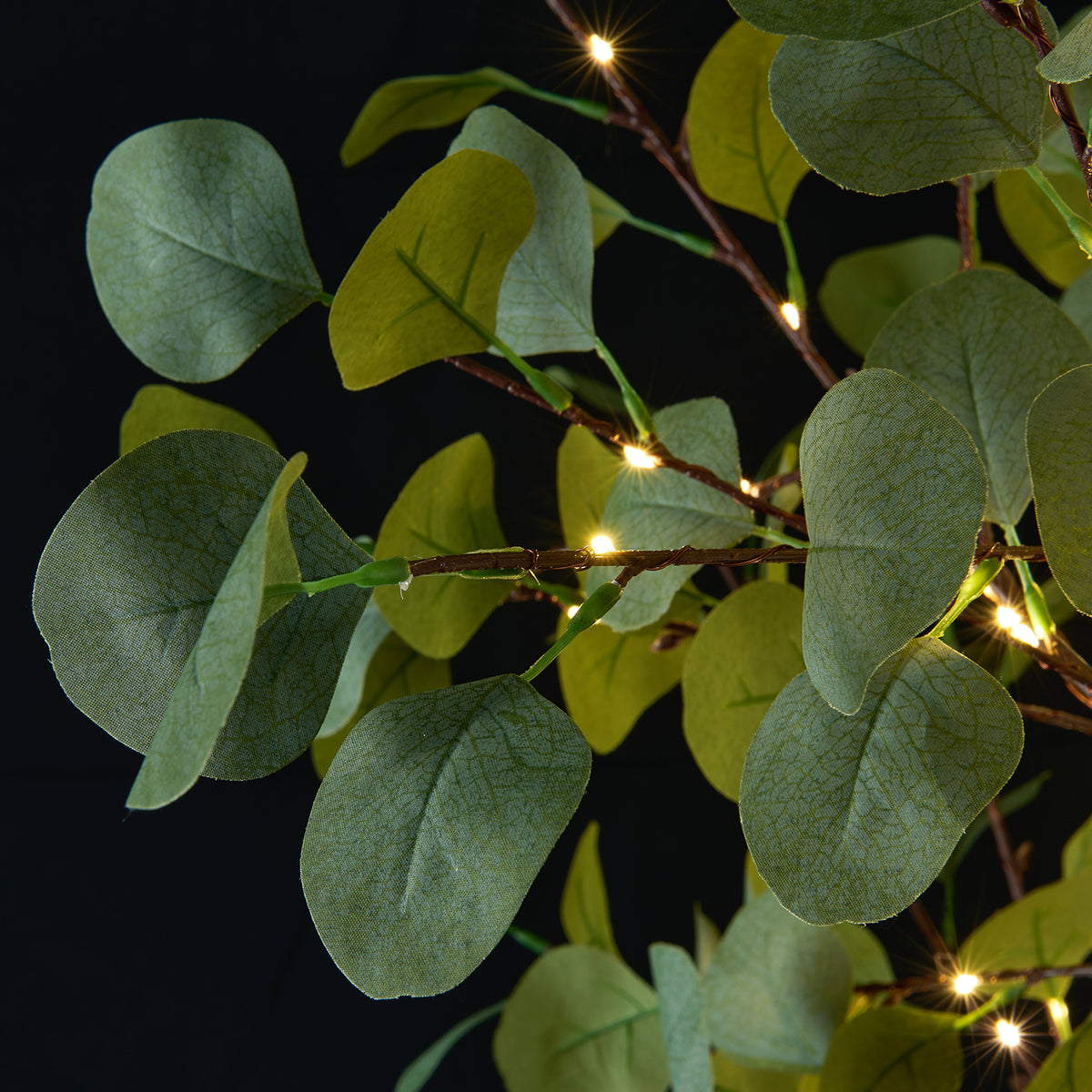 Lighted Eucalyptus Tree Lamp - Decorative Eucalyptus Tree Lights for Home Decor image 2