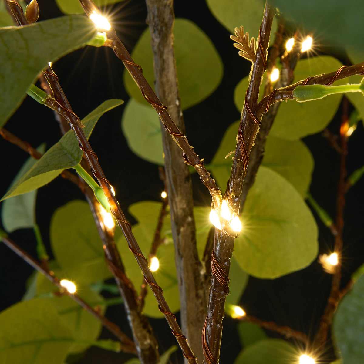 Lighted Eucalyptus Tree Lamp - Decorative Eucalyptus Tree Lights for Home Decor image 3