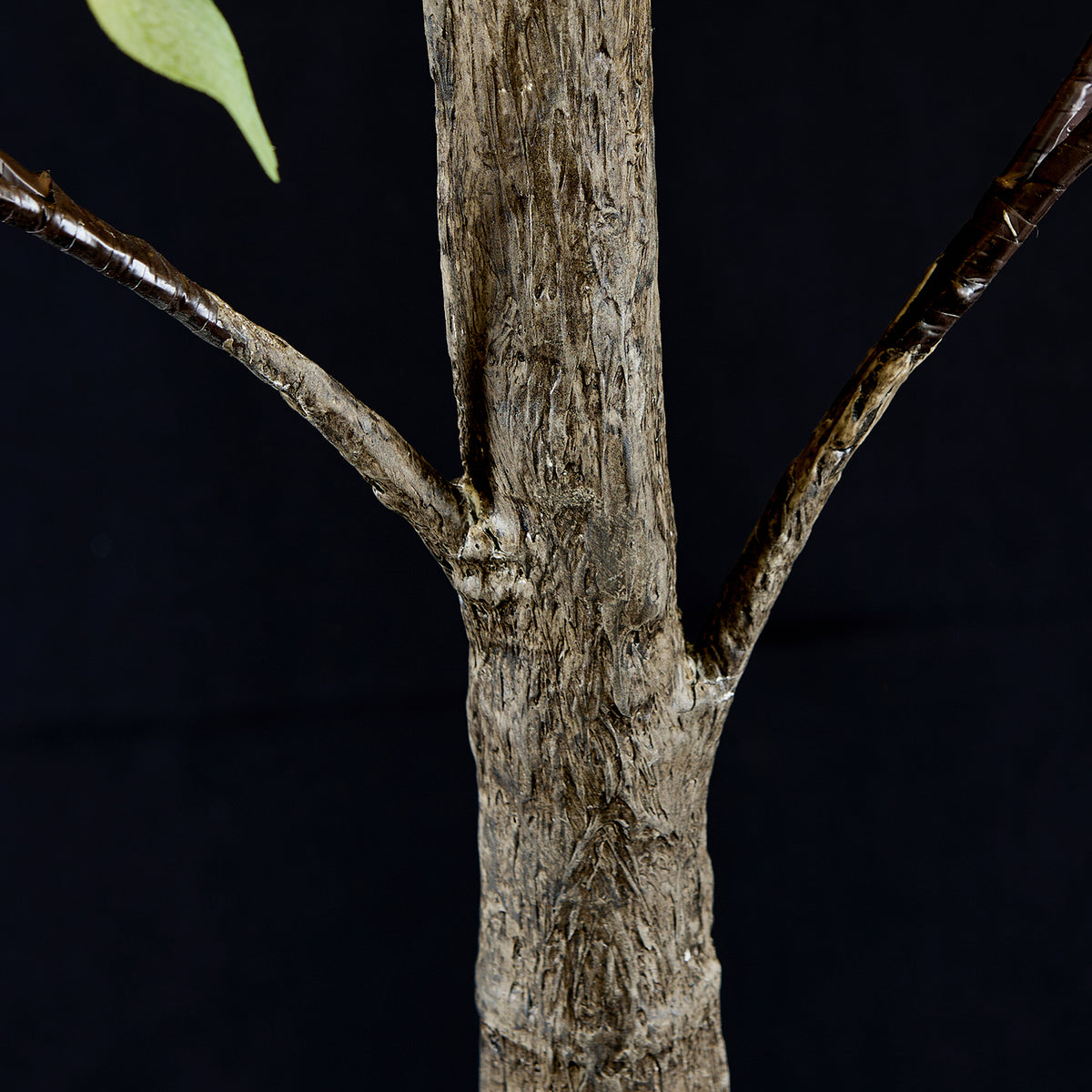 Lighted Eucalyptus Tree Lamp - Decorative Eucalyptus Tree Lights for Home Decor image 4