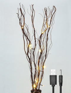 Lighted Natural Willow Twig Branch for Home Decoration, USB Plug-in and Battery Powered image 1