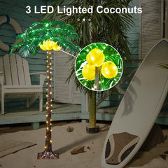 5FT Lighted Palm Tree with 208 Warm White LEDs & 3 LED Coconuts, Indoor/Outdoor Tropical Decoration image 2