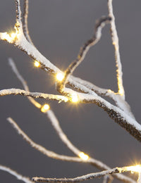 LIGHTSHARE Snow Dusted Tree with Warm White LED Lights, Brown, for Indoor and Outdoor, Christmas Decoration Idea