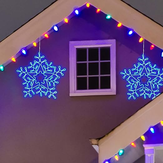 20IN Snowflake Neon Rope Light, Blue – Ehomeinc.com