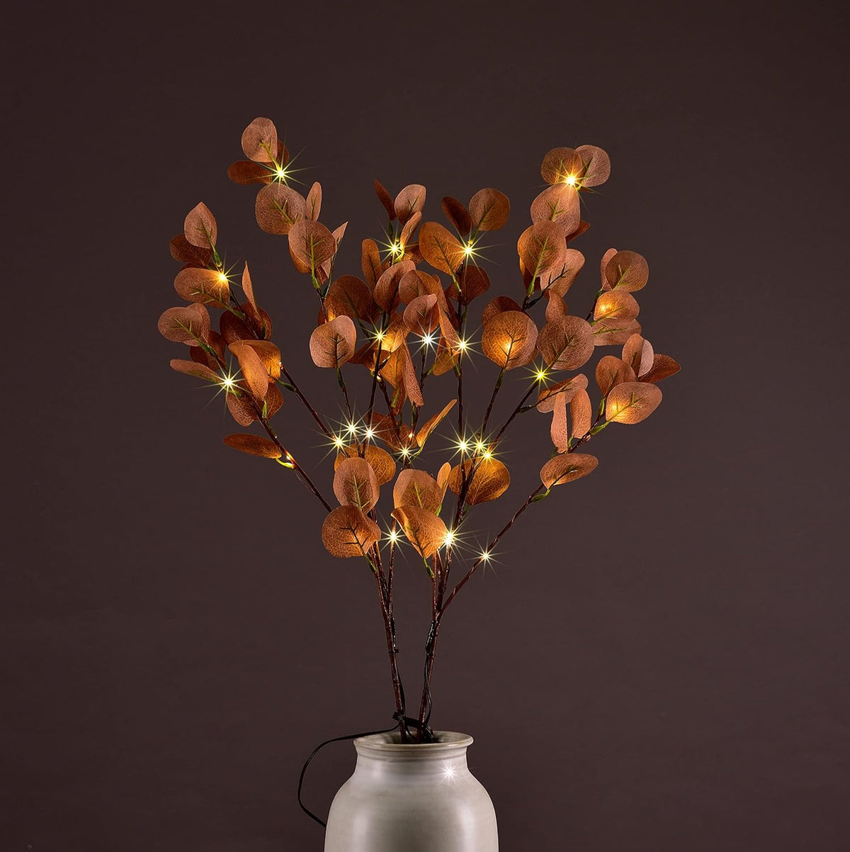 30IN Lighted Eucalyptus Twigs, Yellow Leaves with 38 Warm White LEDs, Elegant Home Decoration & Gift Idea image 5