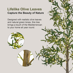 6FT Olive Tree with Fruit, Warm White LEDs, Indoor/Outdoor Decoration image 4