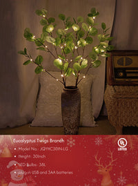 30IN Lighted Eucalyptus Twigs