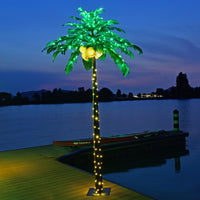 Tropical Palm Tree with Coconuts Perfect Summer Gift Idea